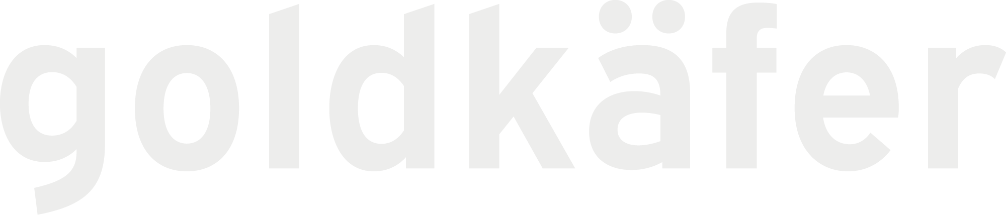 Logo Wortmarke goldkäfer Fotografie